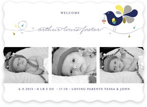 Little Bird Birth Announcements
