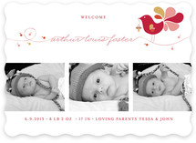 Little Bird Birth Announcements