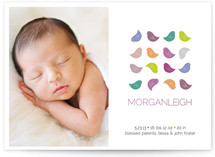 Colorful Birdies Birth Announcements