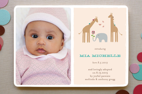 Giraffes & Elephant Birth Announcements