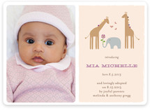 Giraffes & Elephant Birth Announcements