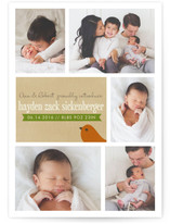 Multi-Treat Birth Announcements