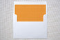 Slip-In Envelope Liners