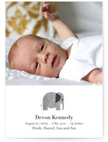 Wee Tweed Elephant Birth Announcements