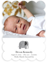 Wee Tweed Elephant Birth Announcements