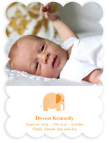 Wee Tweed Elephant Birth Announcements
