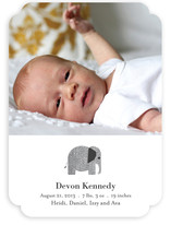 Wee Tweed Elephant Birth Announcements