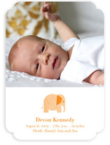 Wee Tweed Elephant Birth Announcements