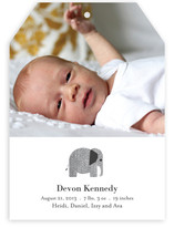 Wee Tweed Elephant Birth Announcements