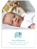 Wee Tweed Elephant Birth Announcements