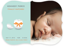 Hatched Egg Shell Baby Birth Announcements