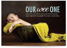 Sweet and Simple Birth Announcements