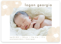 Soft Petals Birth Announcements