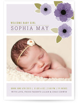 New Born Poppy Birth Announcements