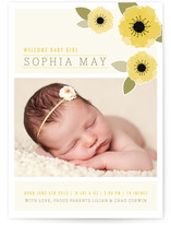 New Born Poppy Birth Announcements