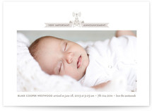 Broadcast Birth Announcements