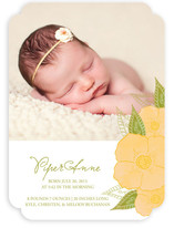 Poppies in Watercolor Birth Announcements