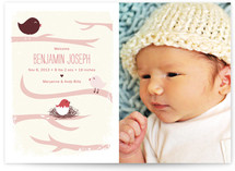 Family Tree Birth Announcements