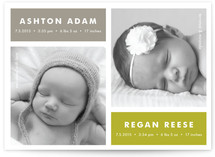 Modern Multiples Birth Announcements