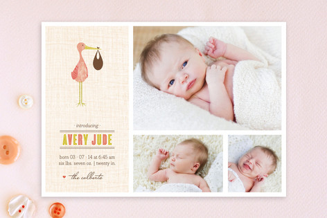 Sweet Stork Birth Announcements