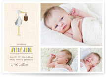 Sweet Stork Birth Announcements