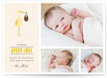 Sweet Stork Birth Announcements