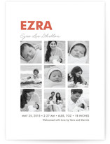 Nine Square Birth Announcements