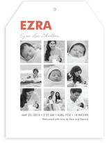 Nine Square Birth Announcements