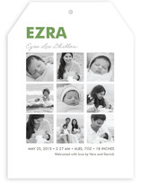 Nine Square Birth Announcements