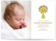 little lion Birth Announcements