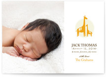 Love Giraffe Birth Announcements