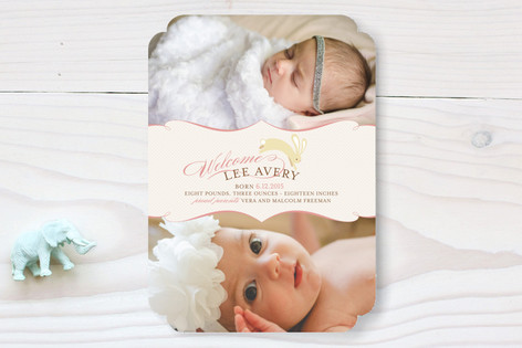 Snuggle Bunny Birth Announcements
