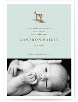 Our Dear Birth Announcements