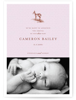 Our Dear Birth Announcements