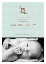 Our Dear Boy Birth Announcements, by Jody Wody