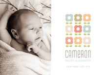 petal pattern Birth Announcements, by kelli hall