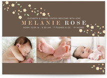 Pretty Blossoms Birth Announcements