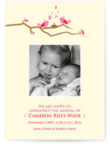 Song Birds Birth Announcements