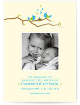 Song Birds Birth Announcements