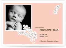 Simple + Lovely Birth Announcements