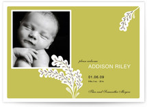 Simple + Lovely Birth Announcements