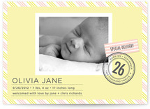 Special Delivery Birth Announcements