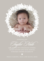 Spring Luxe Birth Announcements, by Letters by Lauren