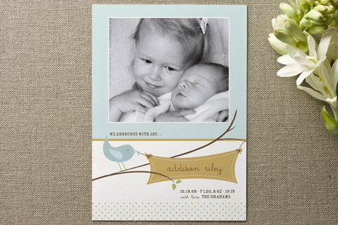 Tweet Tweet Birth Announcements