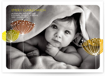Virginia Birth Announcements
