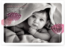 Virginia Birth Announcements