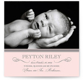 Sweet Sophistication Birth Announcements