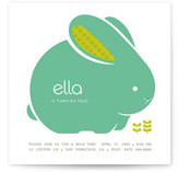 bellabunny Children's Birthday Party Invitations