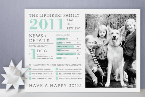 Family Year in Review Christmas Photo Cards