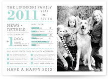 Family Year in Review Christmas Photo Cards